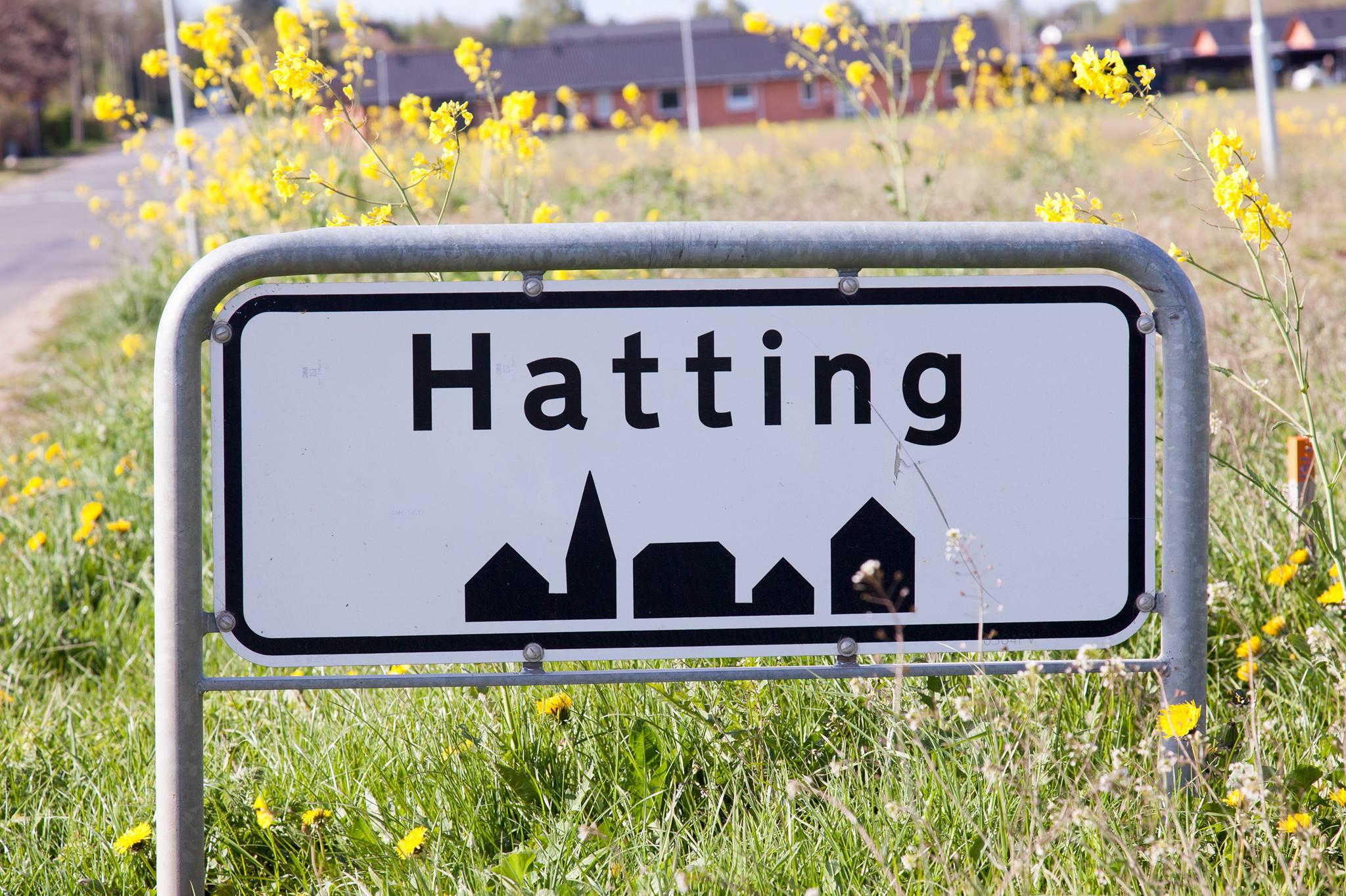 Mit Hatting banner
