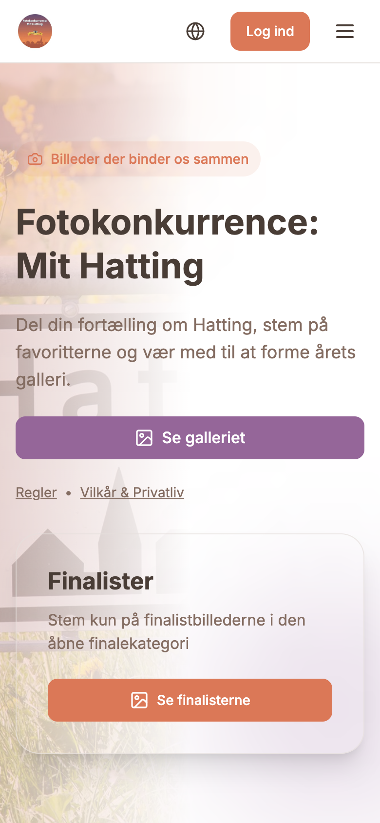 Mit Hatting mobile capture